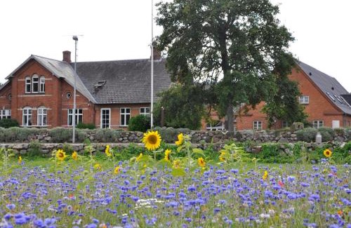 Horne Cama Y Desayuno | Lundsgaard Bed & Breakfast