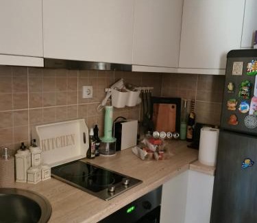 Palilula Apartamento | Lux apartman Lena