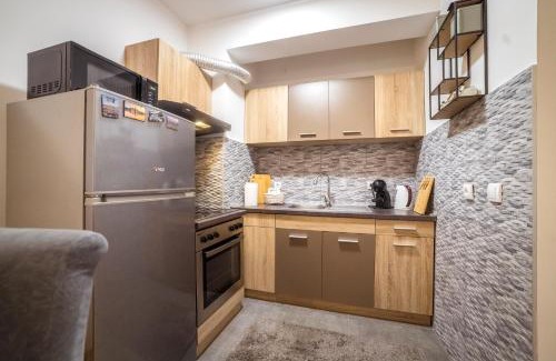 Pirot Apartamento | Lux Apartmani Rakić