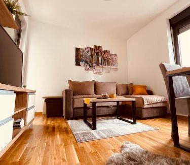 Zlatibor Apartamento | Lux Apartmani Vojinović