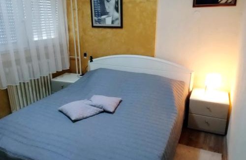 Leskovac Apartamento | Lux aprtman