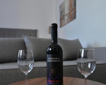 Vrnjacka Banja Apartamento | Lux Pegaz 008