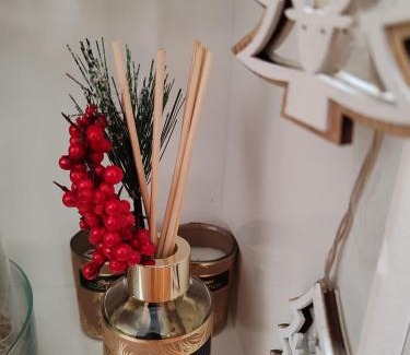 Vrnjacka Banja Apartamento | Lux Pegaz 008