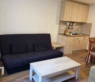 Lisina Apartamento | Lux Village Kopaonik Apartments