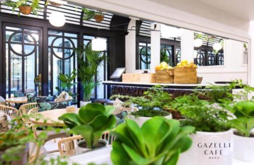 Nasimi Apartamento | Luxary Home VIP Hillton