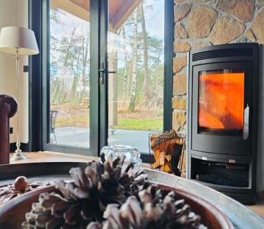 Giethmen Casa | Luxe boslodge Giethmen