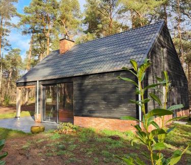 Giethmen Casa | Luxe boslodge Giethmen