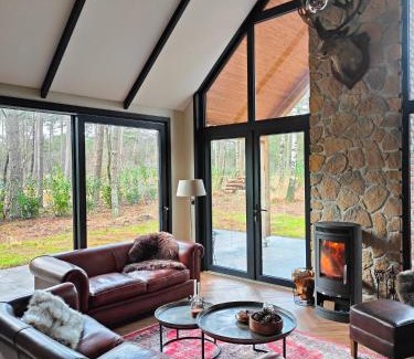 Giethmen Casa | Luxe boslodge Giethmen