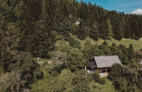 Sankt Stefan ob Leoben Chalet De Esquí | LUXGUT Olivia