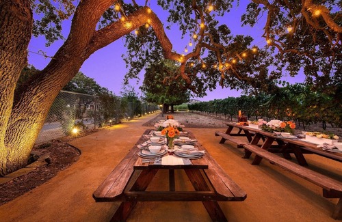 Sonoma Casa | Disfrute de la opulencia de Majestic Wine Country en 7 Acre Estate w / Vineyard & Pool