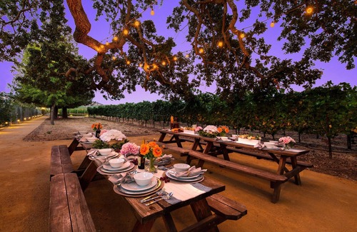 Sonoma Casa | Disfrute de la opulencia de Majestic Wine Country en 7 Acre Estate w / Vineyard & Pool