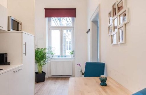 Roßau Apartamento | ⍟Luxurious and Bright⍟ 5 min walk to city center (15)