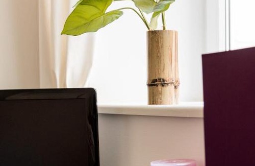 Roßau Apartamento | Luxurious and Spacious 5 min walk to city center, 1-2