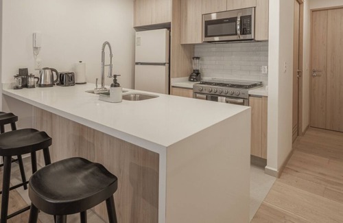 Hipodromo Apartamento | Luxurious Apartment In La Condesa