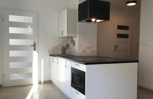 West Pomeranian Voivodeship Apartamento | Luxurious Apartment in Szczecin