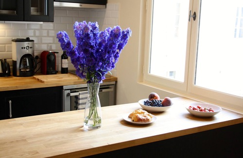 6th Arrondissement Apartamento | Lujoso apartamento en el corazón de Saint Germain des Prés, el centro de París