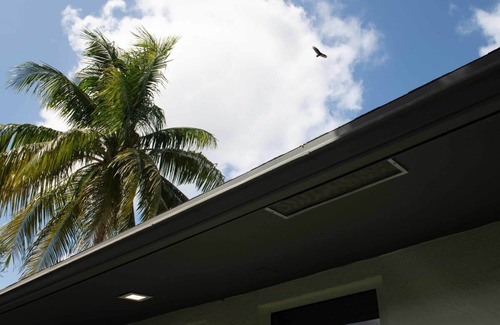 Harbordale Hotel | Luxurious Boutique Hotel in Fort Lauderdale
