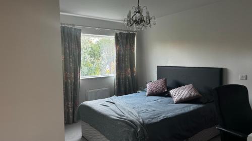 Streatham Hill Casa | Luxurious Central London N-Suite with Garden Views