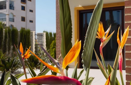 Los Secanos Apartamento | Lujoso apartamento a estrenar con jardín adyacente, 277m2, cerca de la playa