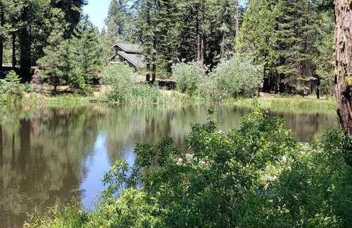 Shaver Lake Casa | Luxurious Escape-DOUBLE Masters/GOURMET Kitchen
