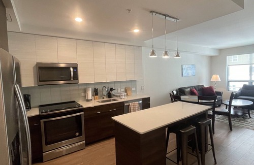 Pentagon City Apartamento | Luxurious Fully Furnished Move-In-Ready in Luxurious Apartment