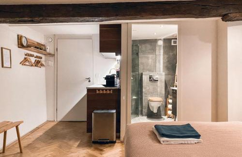 Statenkwartier Apartamento | Luxurious Loft in Maastricht City Center