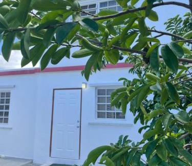 Estate Body Slob South Casa | Luxurious One and Two Bedroom Villa