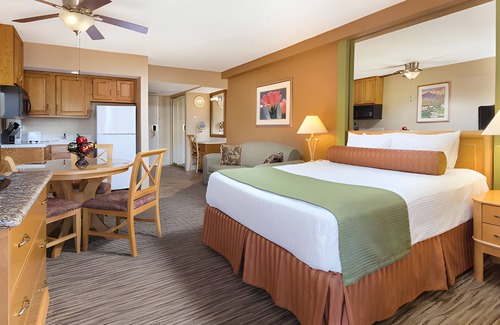 Palm Springs Complejo | Luxurious Studio Resort near Coachella Festival