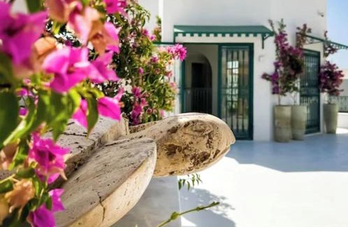 Medina of Tunis Casa | Luxurious Tunisian Holiday House with Full Access for Wheelchairs