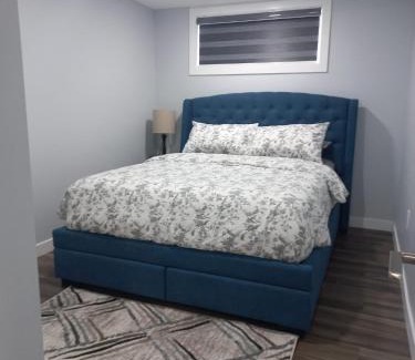 Transcona Apartamento | Luxury 1 Bedroom Basement Suite