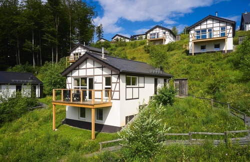 Winterberg Chalet De Esquí | Luxury 6-person chalet in the holiday park Landal Winterberg