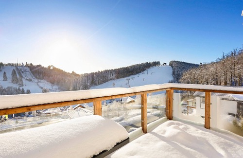 Winterberg Chalet De Esquí | Luxury 6-person chalet in the holiday park Landal Winterberg