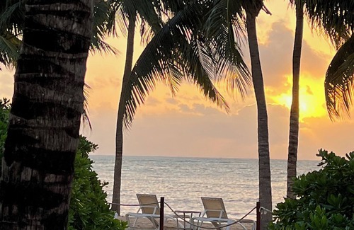 Mayakoba Complejo | Luxury all-inclusive resort vacation in Riviera Maya; fine dining & nature park