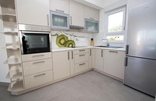 Promajna Apartamento | Luxury Apartment Luka
