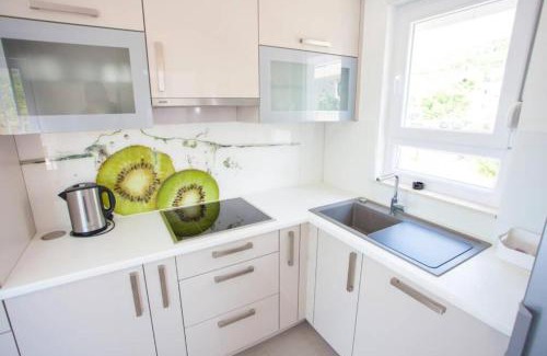 Promajna Apartamento | Luxury Apartment Luka