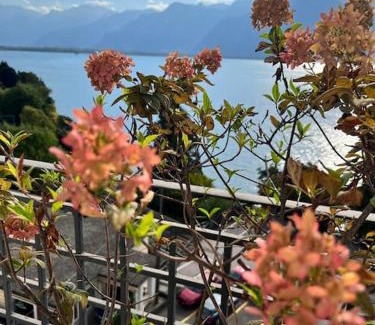 Territet Apartamento | Luxury Apartment Montreux