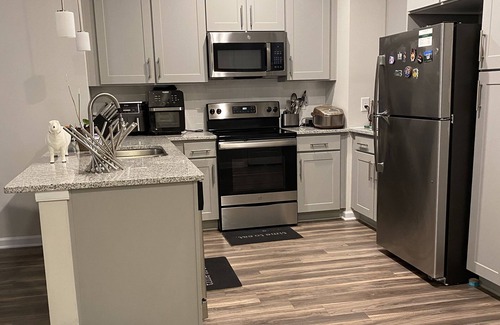 Northeast Raleigh Apartamento | Luxury Apartment Triangle Town Center King Bed