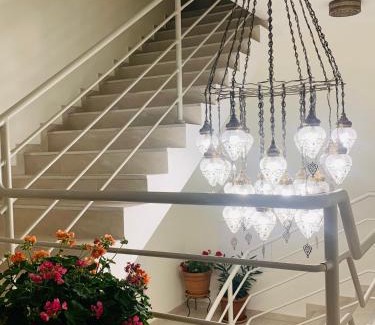 Psie Pole Apartamento | Luxury Apartments