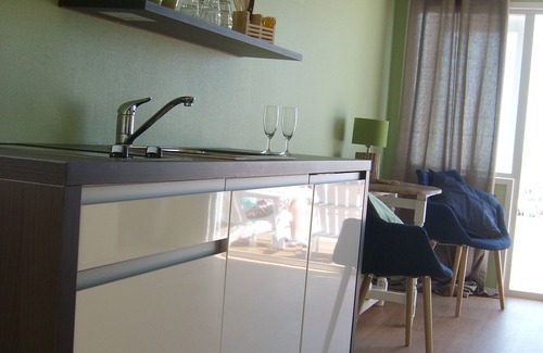 Wijk aan Zee Chalet De Esquí | Luxury beach house equipped with every luxury (wifi/royal bathroom etc).