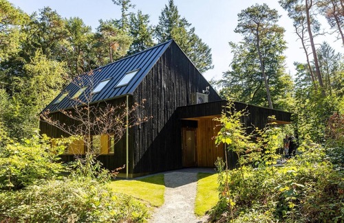 Norg Casa | Luxury bungalow for 6 people with a view over the forest.