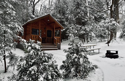 Grier City-Park Crest Cabina | Luxury Cabin - Located at Lakewood Park Campground Firepit/Fireplace/Private Bathroom/Lake access
