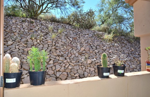 Tucson Condominio | Condominio de lujo en el corazón de las estribaciones de Catalina