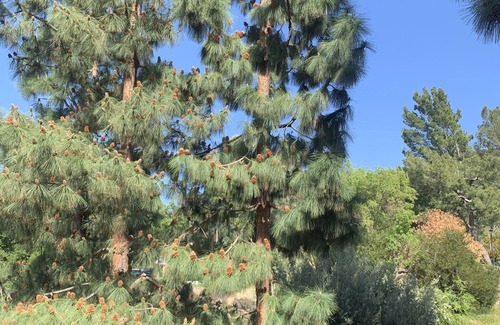 Burbank Cama Y Desayuno | Luxury Condo w/ Complimentary Breakfast and Free Parking! 5 mins from Universal