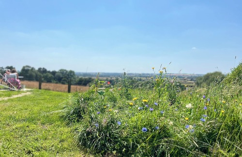 Woodford Halse Alquiler De RV | Luxury, cosy bell tent with gorgeous view
