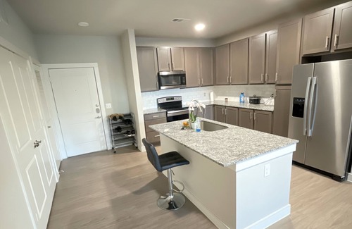 Klein Apartamento | Luxury Cozy One Bedroom Apartment/ 20 minutes for IAH Airport!