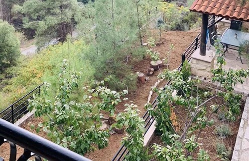 Vasa Koilaniou Villa | Casa de lujo, montañas de Troodos, bosque