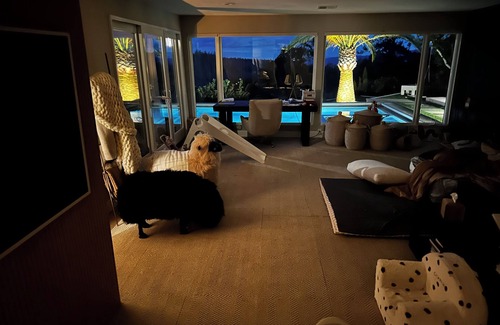 Angwin Casa | Luxury Designer Home with Pool, Spa, and Napa Valley Views