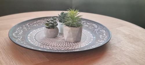 Selfoss Casa | Luxury Family Getaway
