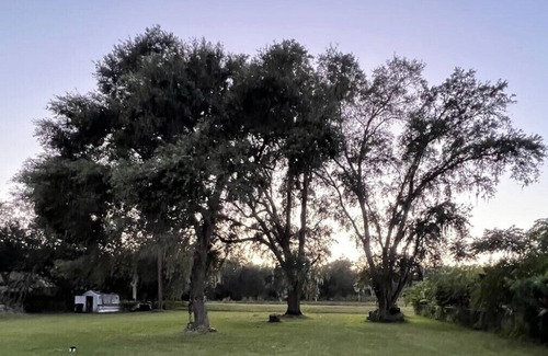 Orlando Alquiler De Eote | Luxury Family House