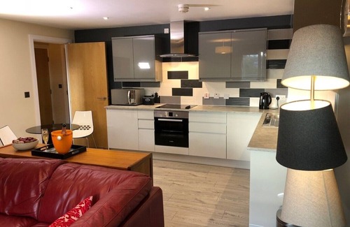 Newcastle-upon-Tyne Apartamento | Luxury Ouseburn flat with city & river views